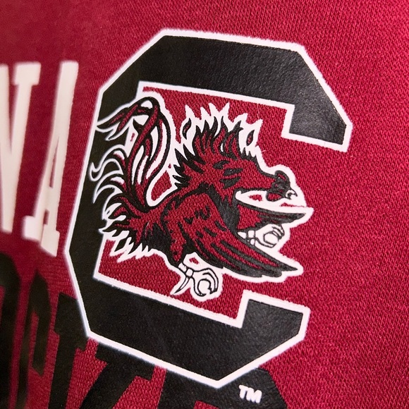 🐔🏟️ University of South Carolina Gamecocks Marquee Stadium Hoodie 🏟️🐓 - Picture 8 of 12